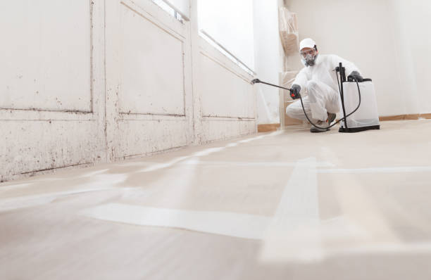 24/7 Emergency Basement Mold Remediation experts in Cold Spring Harbor, NY